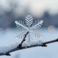 Winterliche Schneeflocken