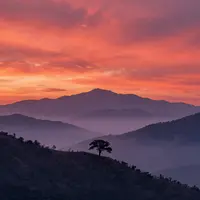 الفجر القرمزي