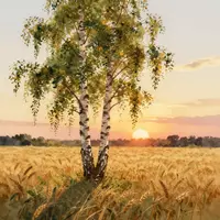 برچ درخت کی پینٹنگز
