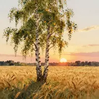 ゴールデンアワーの風景