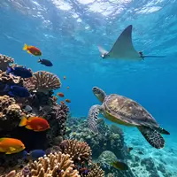 حیات دریایی