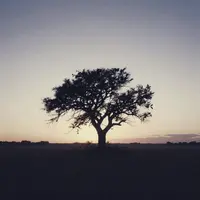 Пустынная природа