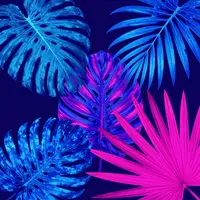Vibrant Cover Art