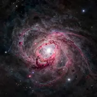 Dark Cosmic Landscape