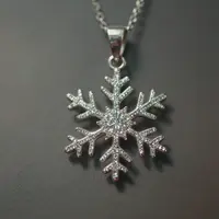 Joyería de invierno