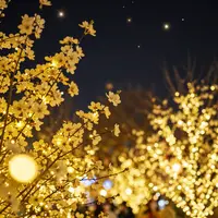 صحنه شب جشن