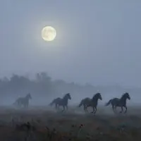 منظره مهتابی