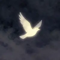 Melancholická krása