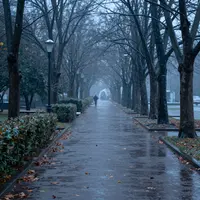 Regen und Schnee