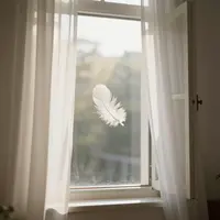 Pană albă plutind