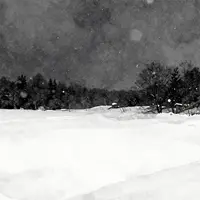 Dark Winter Landscape