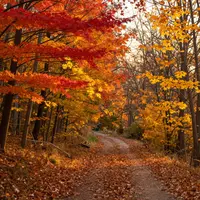 زیبایی‌شناسی پاییزی