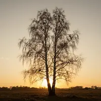 Ностальгия и надежда