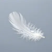 الروح النقية