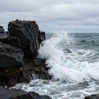 Жартасты жағалау