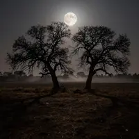 Znepokojivá Atmosféra