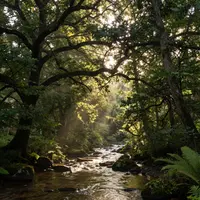 प्राकृतिक प्रकाश