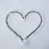 Yashirin yurak shakli