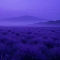 زیبایی‌شناسی بنفش و آبی