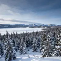 Siberian Landscape