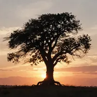 Динамичная природа