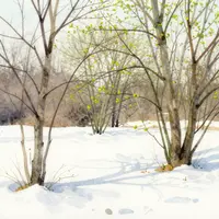 انتقال الفصول