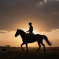 مرد سوار بر اسب