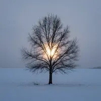 فقدان و امید