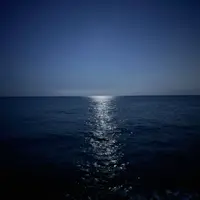 Deniz Gecesi