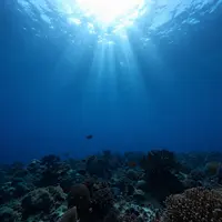 Океанские глубины