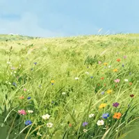 چمنزار آفتابی