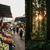 स्प्लिट स्क्रीन