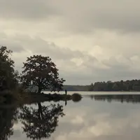 Sampul Album Downtempo