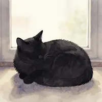 Sleeping Cat