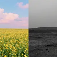 Эскапизм и Реальность