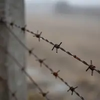 Symbolisme du Fil de Fer Barbelé