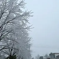 Ледяной дождь