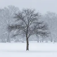 बर्फ़ीले तूफ़ान के दृश्य