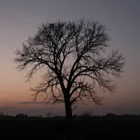 Трагедия войны