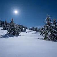 Snowy Landscape