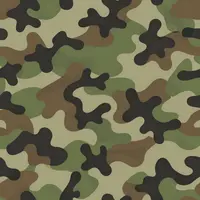 Họa tiết rằn ri