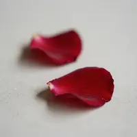 Petală de Trandafir