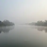 Foggy River