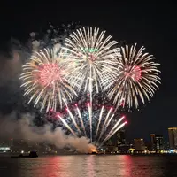 आतिशबाजी का प्रदर्शन