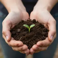 Handen die aarde vasthouden