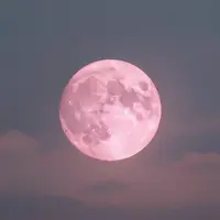 গোলাপি চাঁদ