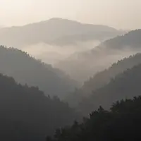 Foggy Landscape