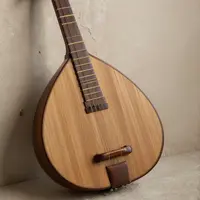 Tradisyunal na instrumentong pangmusika