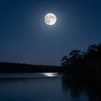 مشاهد ليلية