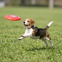 Играющий щенок